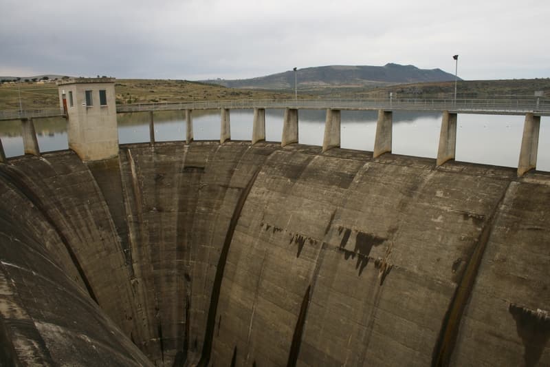 Binfield Park Dam Dam